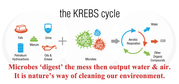 The KREBS Cycle for Microbial Cleaners