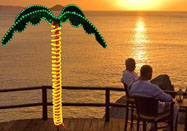 LED Ropelight Palm Tree 7' Indoor and Outdoor Lighting